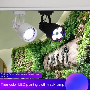 50 W червена, зелена и синя своеобразна лампа за отглеждане на растения Led аквариумный екологичен специален прожектор track light