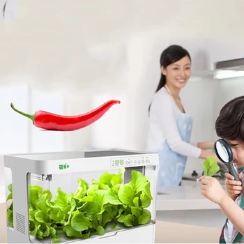 Интелигентна гидропонная сеялка, обзавеждане за беспочвенного отглеждане, гидропонный зеленчукова къща на закрито